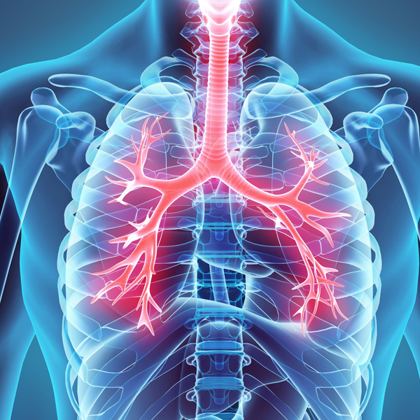 Pulmonology and Chest diseases